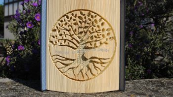 Permalien vers:Livres sculptés